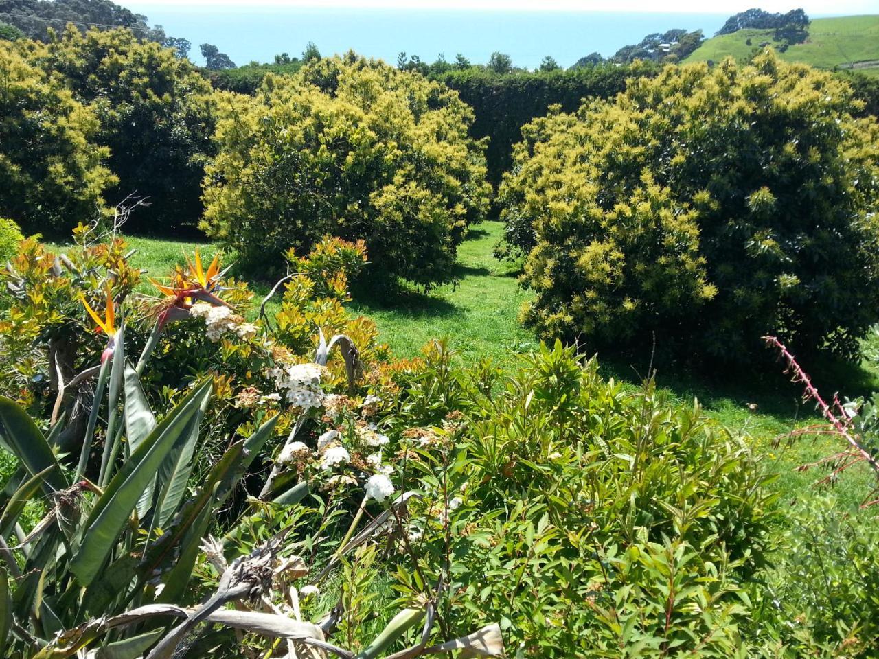 Ridgehaven Accommodation Opotiki Kültér fotó