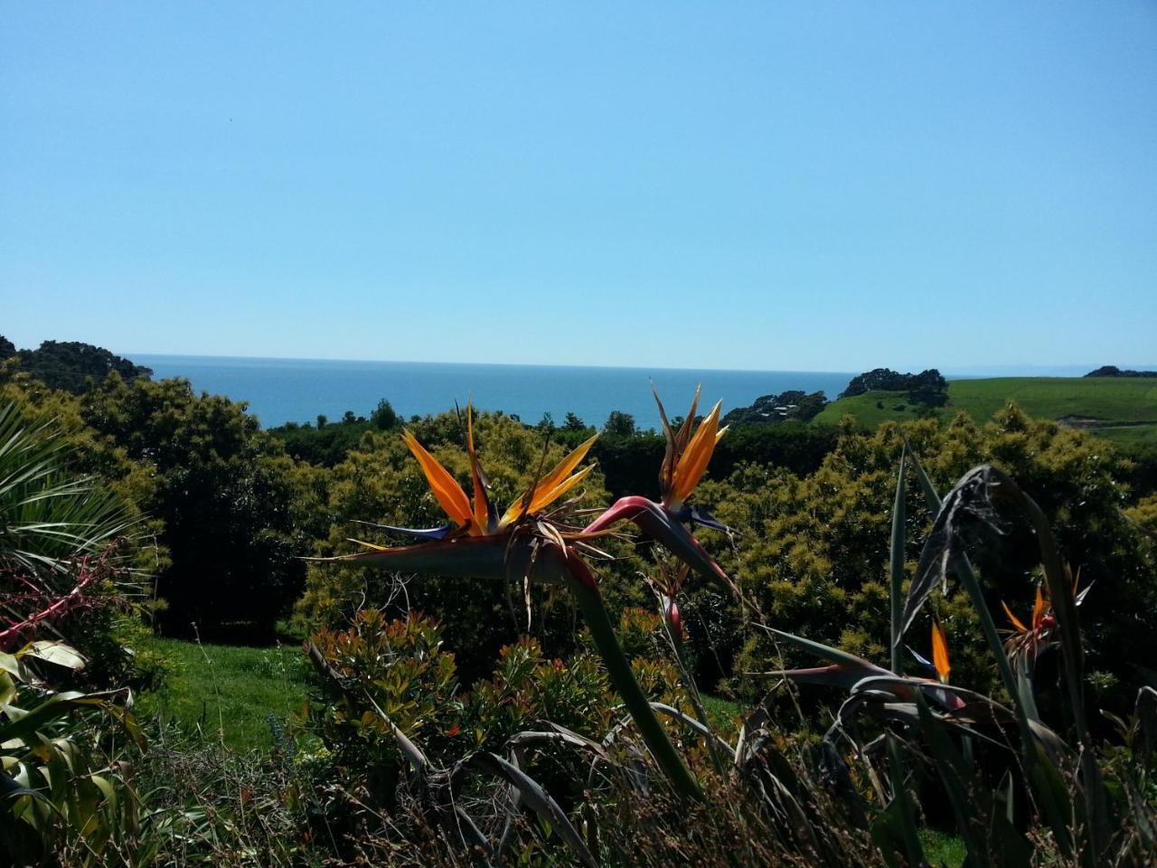 Ridgehaven Accommodation Opotiki Kültér fotó